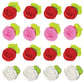 Large Rosettes- 96/CS