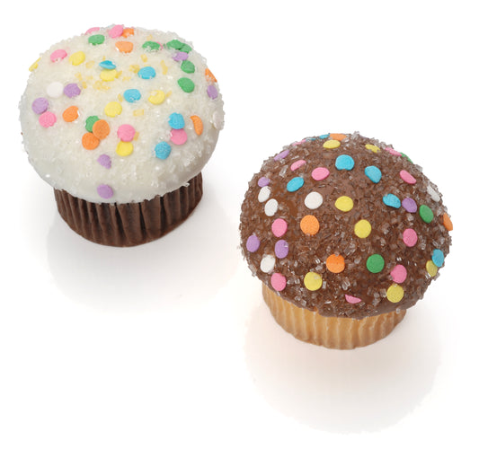 Confetti Belgian Chocolate Gourmet Cupcakes- 6 Pack
