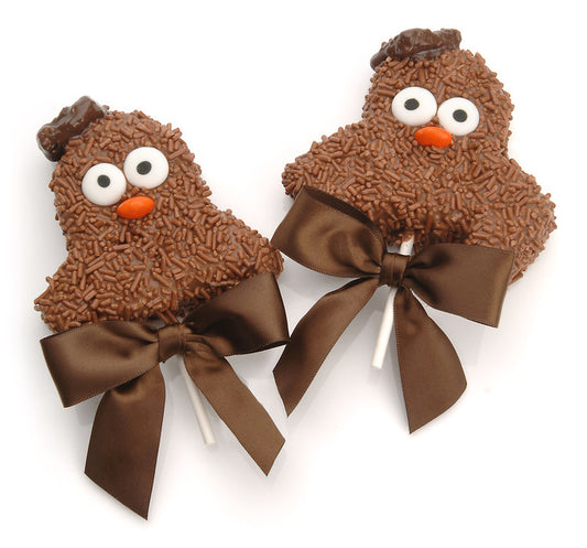 Wise Owl Rice Crizpy- Individually Wrapped