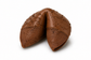 Gourmet Explorations Hand Dipped & Decorated Fortune Cookies- Gift Box of 12