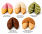 Gourmet Explorations Hand Dipped & Decorated Fortune Cookies- Gift Box of 12