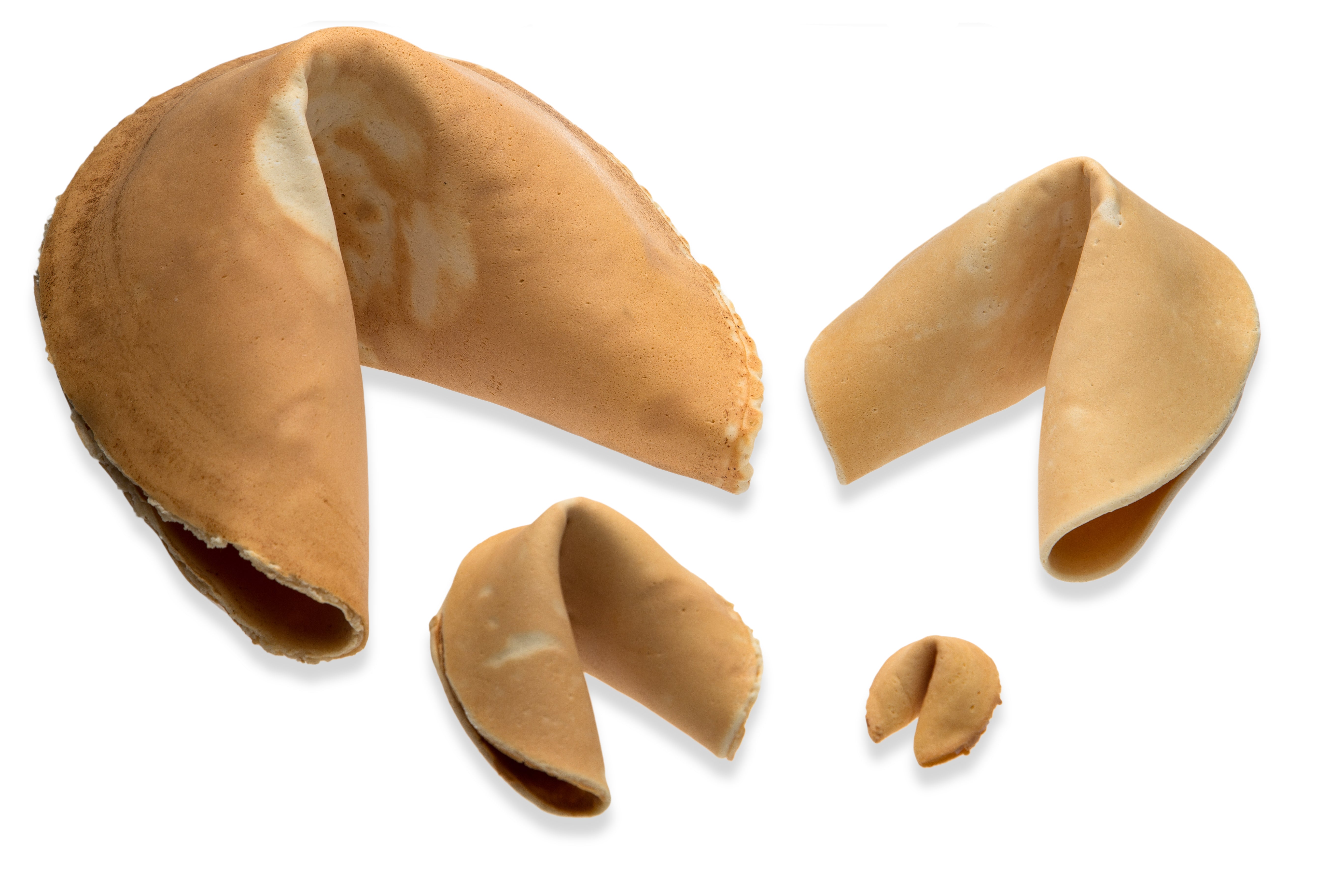 Halloween Decorated Super Giant Fortune Cookie