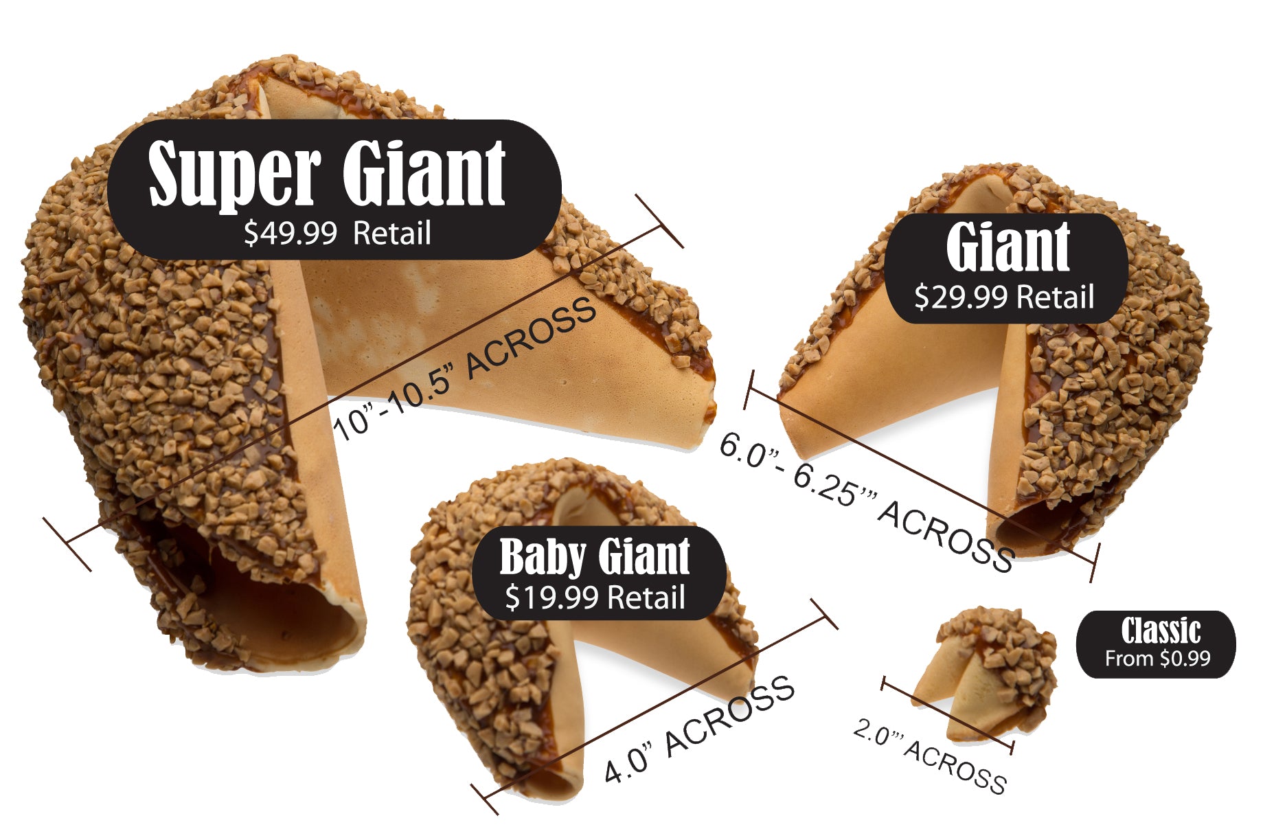 Confetti Super Giant Fortune Cookie – Lady Fortunes Inc
